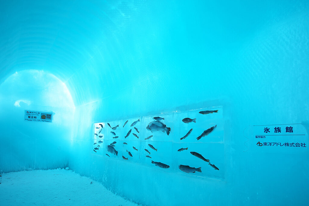 千歳・支笏湖 氷濤まつりの氷族館