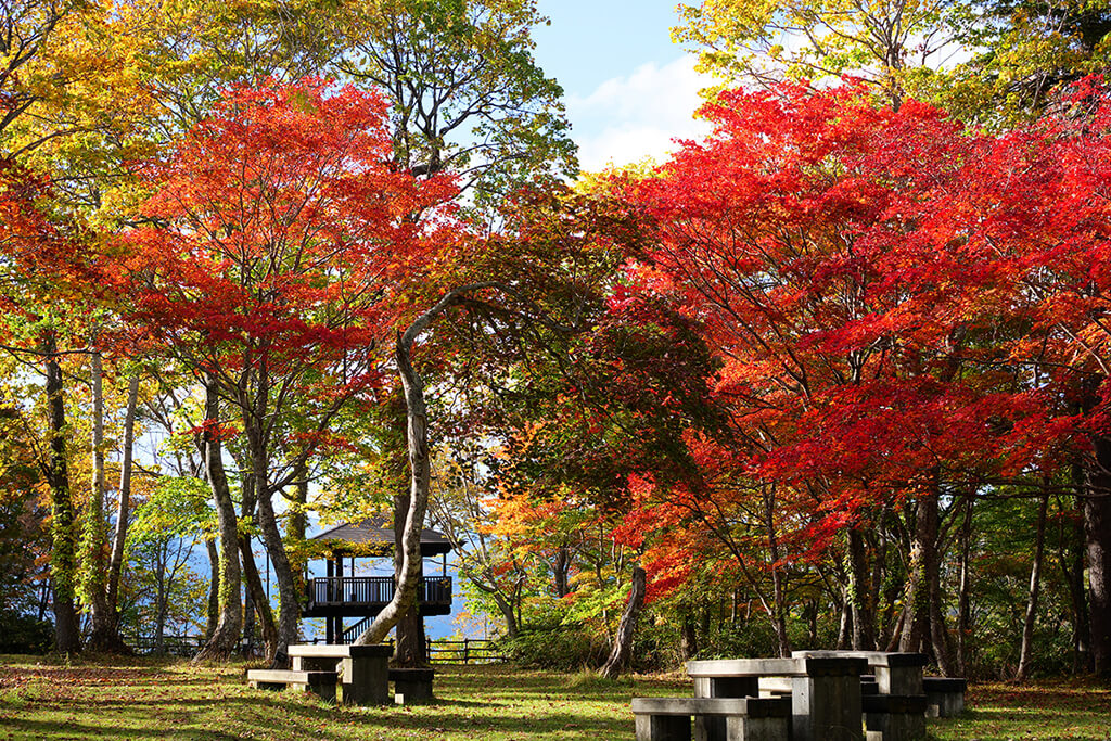 休暇村支笏湖の紅葉