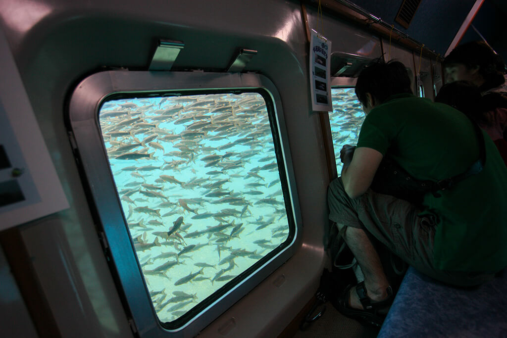 支笏湖の水中遊覧船