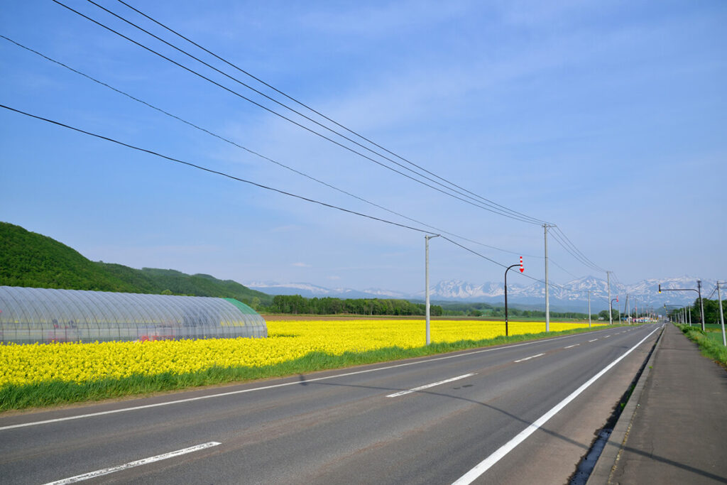 美瑛の青い池に向かう国道