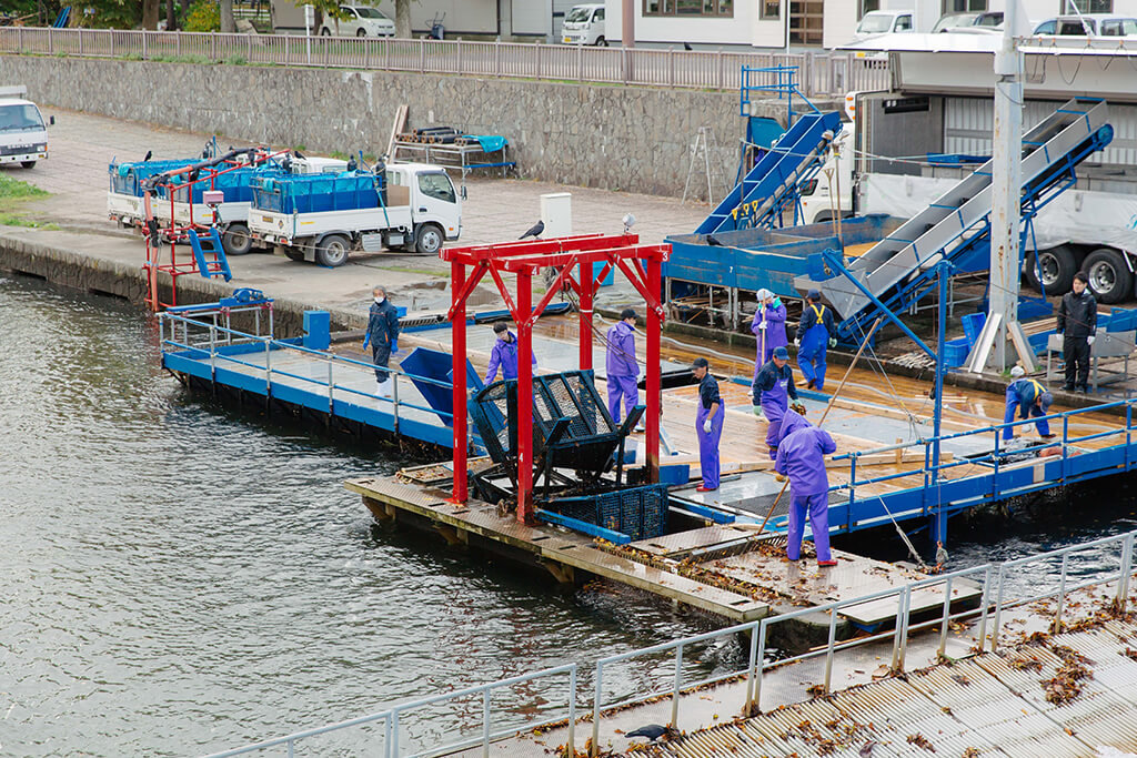 サケのふるさと千歳水族館に隣接するインディアン水車