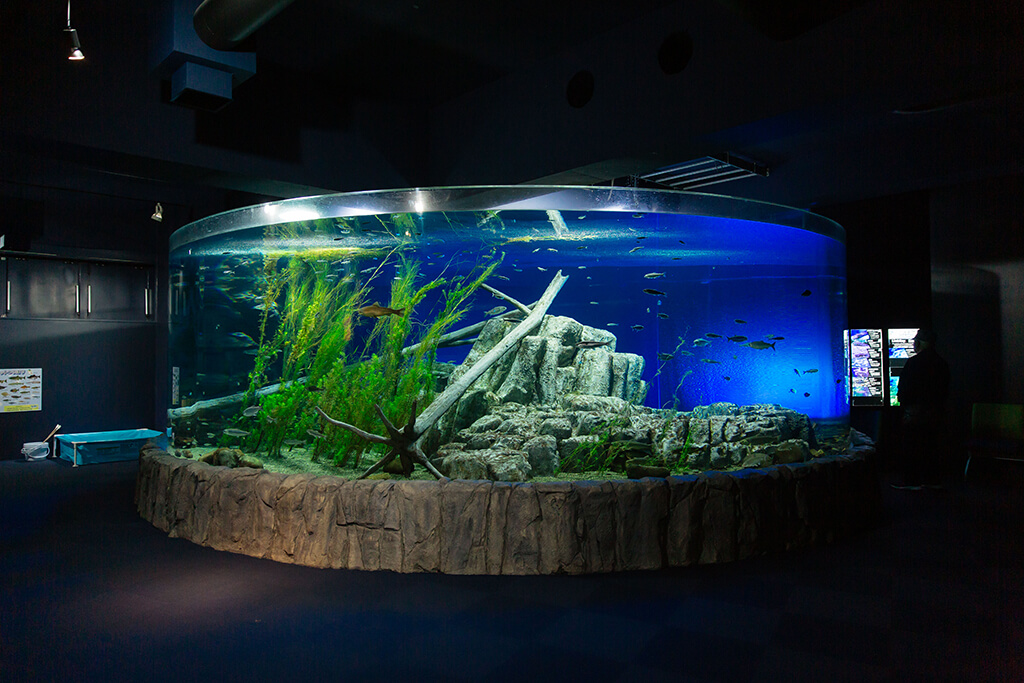 サケのふるさと千歳水族館の支笏湖ゾーン