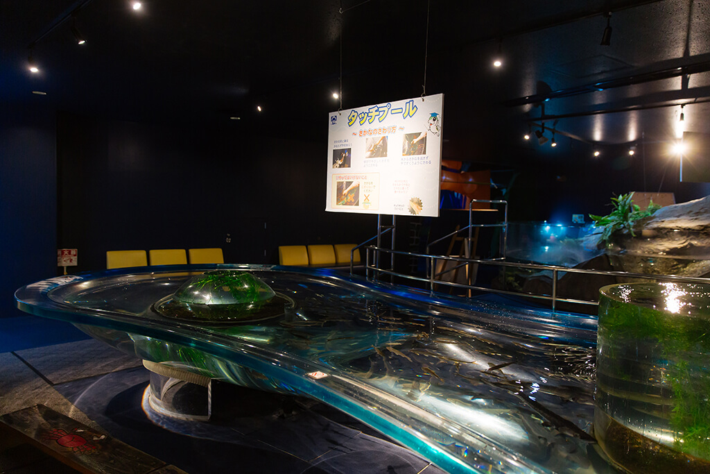 サケのふるさと千歳水族館の体験ゾーン