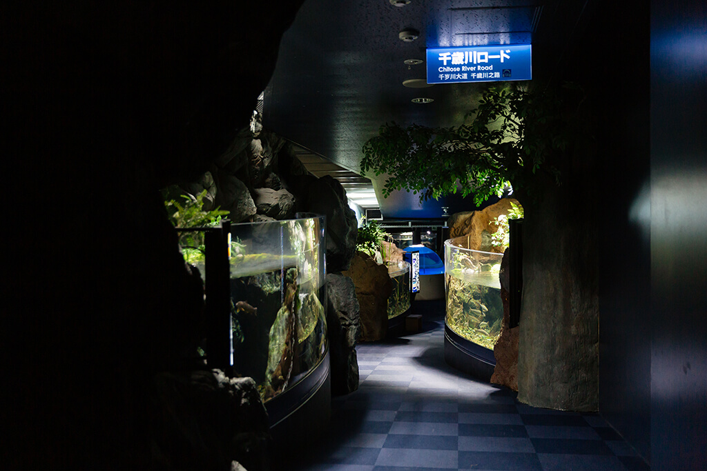 サケのふるさと千歳水族館の千歳川ロード