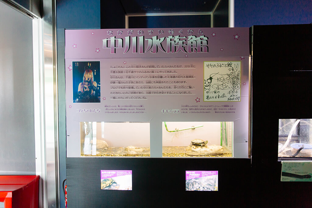 サケのふるさと千歳水族館の中川水族館コーナー