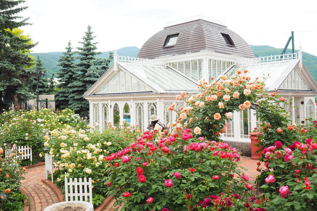 白い恋人パークのローズガーデン